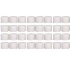 36 x 900 Blatt Toilettenpapier kernlos, 2-lagig, weiß, Zellstoff