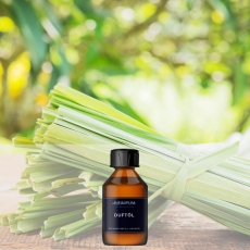 Yuzu Gras - Premium Duftöl Aromaöl von INFINITUM
